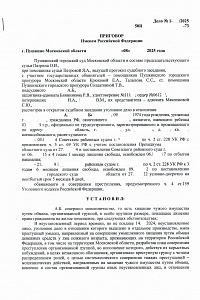 Приговор НВ-2025 год (экономика)