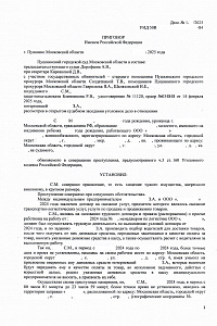 Приговор ЯН-2025 год (против собственности)